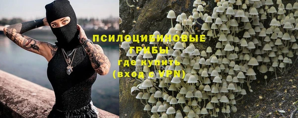 альфа пвп Гусиноозёрск