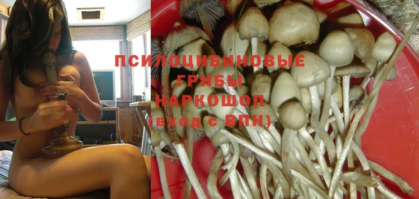 альфа пвп Гусиноозёрск