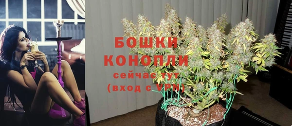 альфа пвп Гусиноозёрск