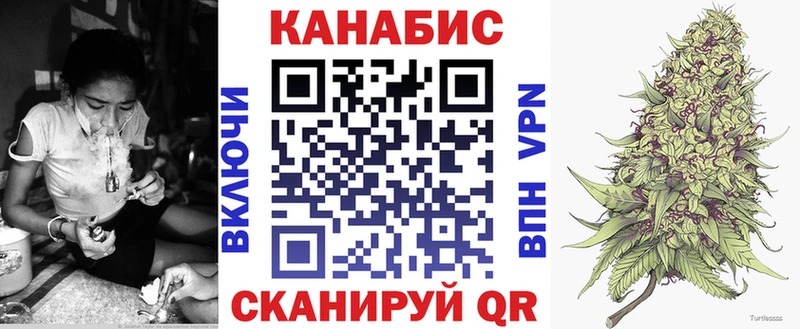 Конопля сатива  Купить где  Салехард 